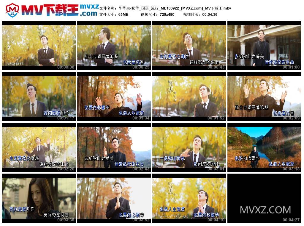陈华生-繁华_国语_流行_ME100922
